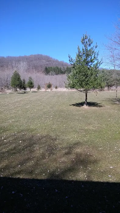 Alana Springs Campground Picture 4