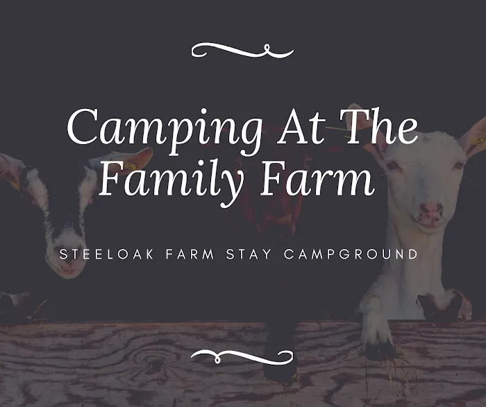 Steel Oak Campground Picture 5