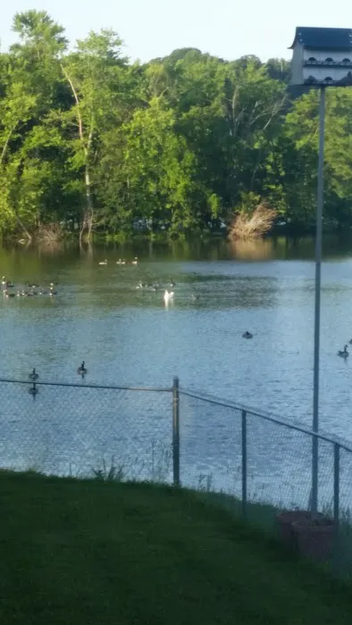 Waterfront RV Park Picture 4