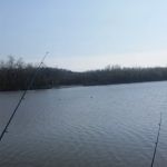 Waterfront RV Park