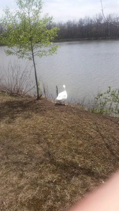 Waterfront RV Park Picture 5
