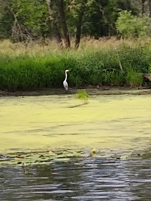 River's End Resort Picture 7