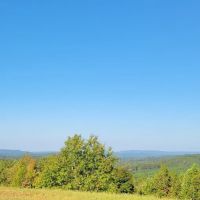 Franks Point Of View LLC ico