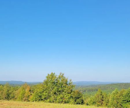 Franks Point Of View LLC