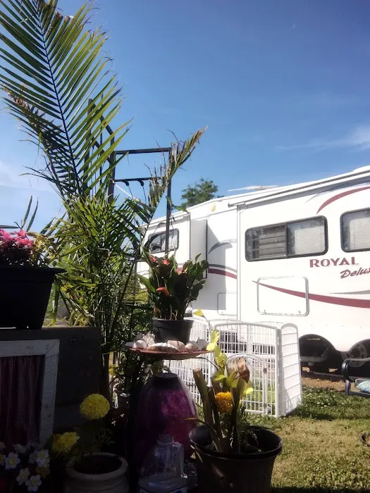 Robertson RV Picture 2