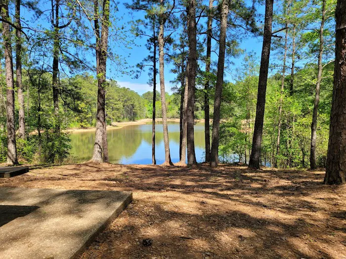 Holiday Campground Picture 3