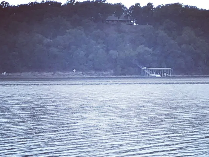 Horse Creek Resort Picture 2