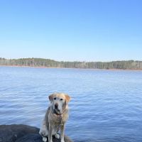 Schaefer Heard Campground ico