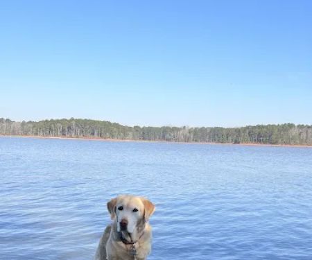 Schaefer Heard Campground