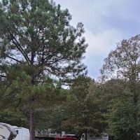 Kudzu R V Park and Campground ico