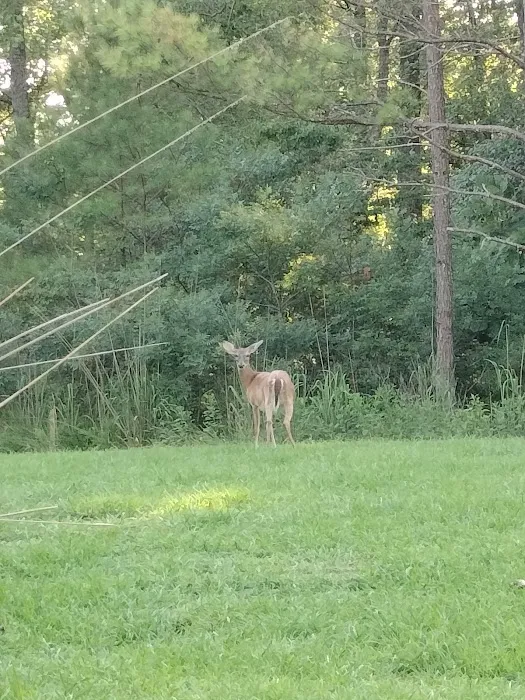 Corinth Recreation Area Picture 9
