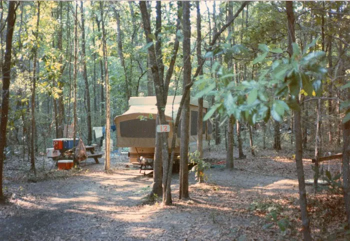 Ichetucknee Springs Campground Picture 10