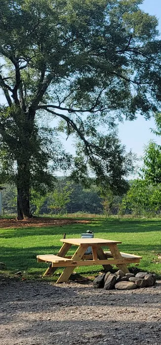Cedar Creek Trails RV Park Picture 4
