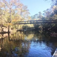 Oleno State Park and River Rise Magnolia Campground ico