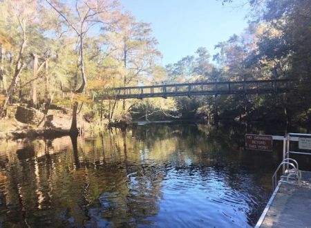 Oleno State Park and River Rise Magnolia Campground