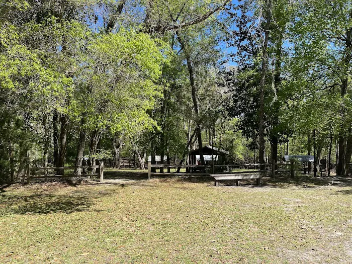 Oleno State Park and River Rise Magnolia Campground Picture 7