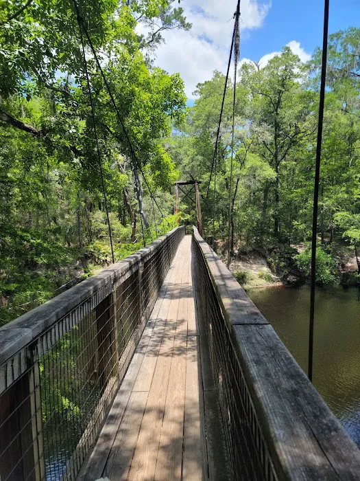 Oleno State Park and River Rise Magnolia Campground Picture 4