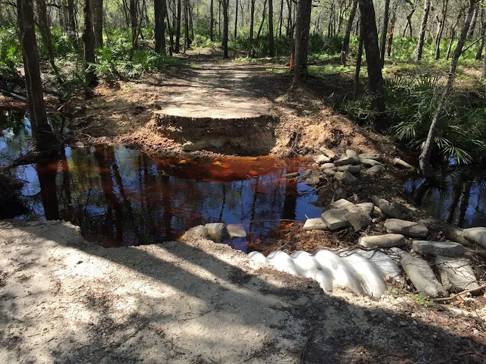 Oleno State Park and River Rise Magnolia Campground Picture 6
