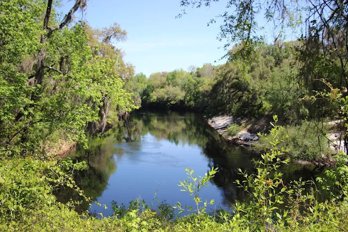 Spirit of the Suwannee Music Park & Campground Picture 3