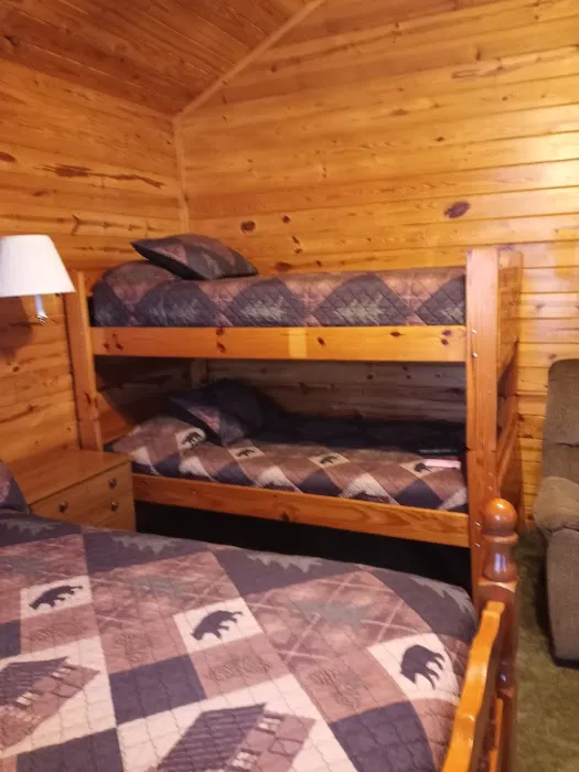 Big Cedar Cabins & RV Park Picture 6