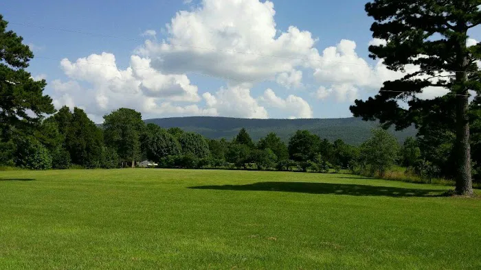 Big Cedar Cabins & RV Park Picture 1