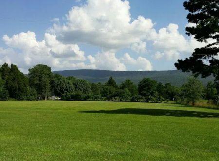 Big Cedar Cabins & RV Park