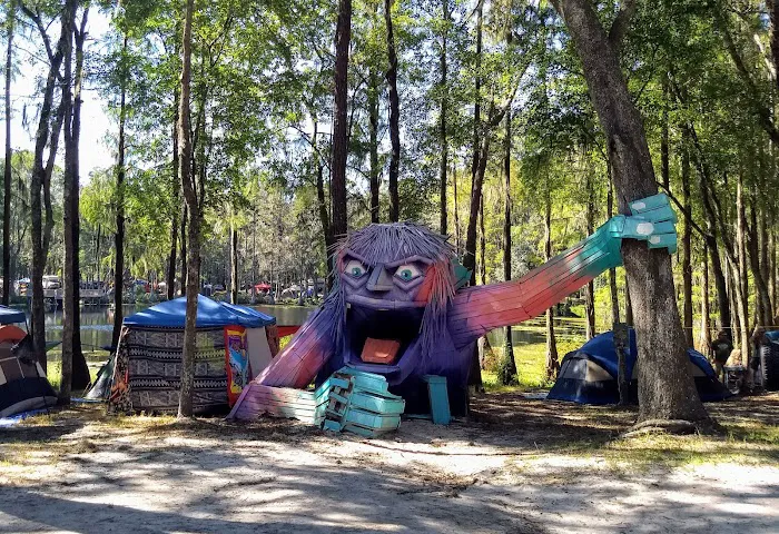 Pine Field Campsites Picture 6