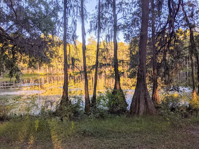 Pine Field Campsites Picture 8