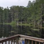 Pine Field Campsites