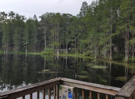 Pine Field Campsites