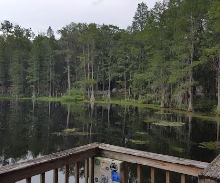 Pine Field Campsites