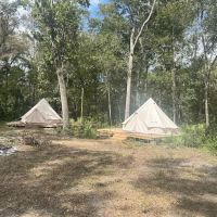 Camp Wildfire ico