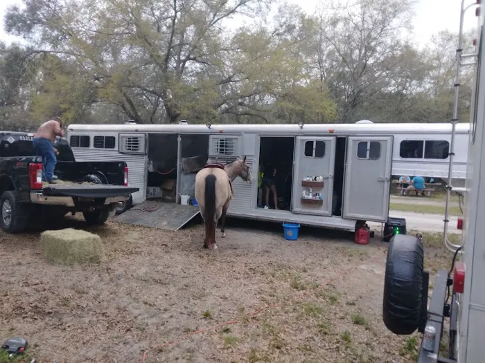 O'Leno River Rise Horse Camping And Trails Picture 1