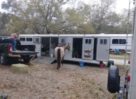 O'Leno River Rise Horse Camping And Trails