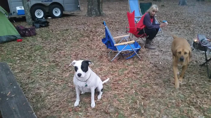 O'Leno River Rise Horse Camping And Trails Picture 2