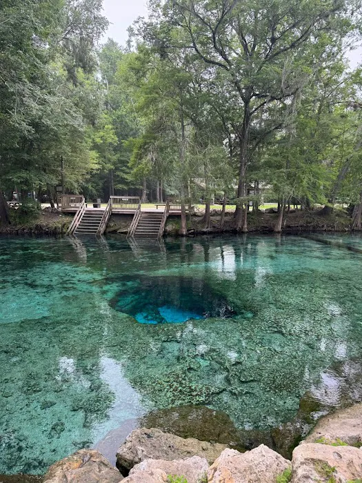 Ginnie Springs Outdoors, LLC Picture 8