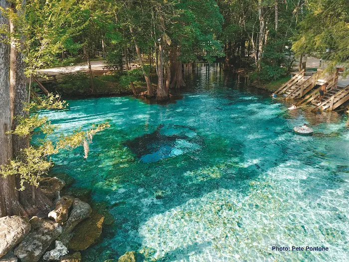 Ginnie Springs Outdoors, LLC Picture 5