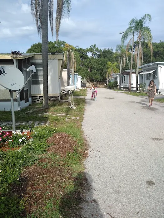 Sun Terrace Manufactured Home Community | Clearwater, FL Picture 3