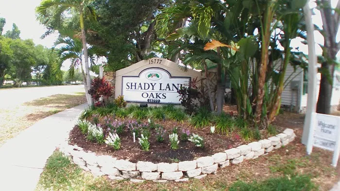 Shady Lane Oaks Picture 4