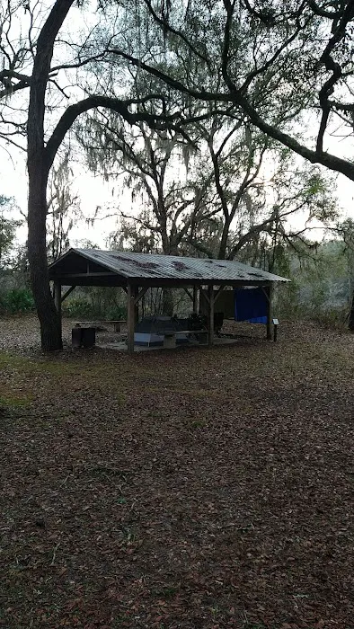 Coopers Bluff Campsite Picture 2