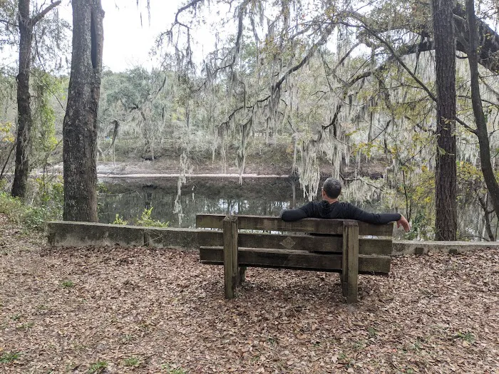 Coopers Bluff Campsite Picture 5