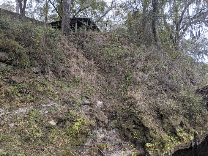 Coopers Bluff Campsite Picture 7