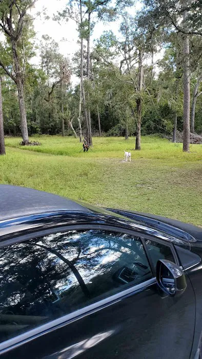 Coopers Bluff Campsite Picture 9