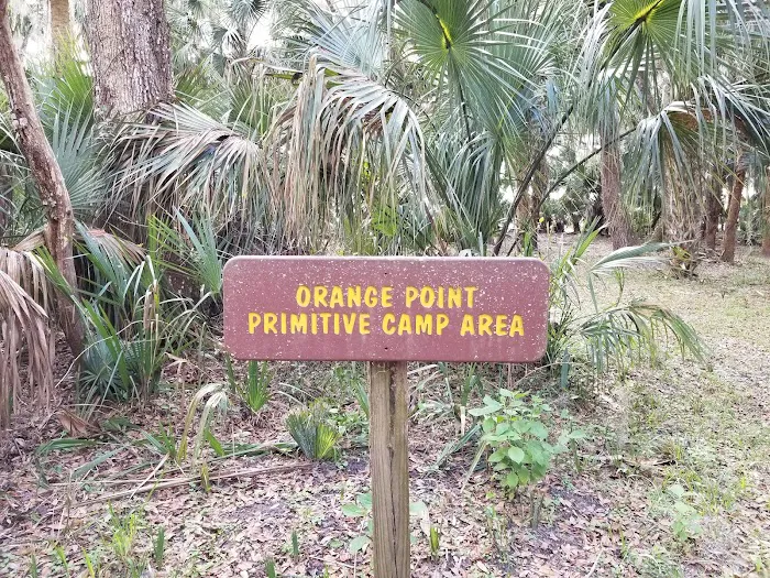 Orange Point - Welaka State Forest Picture 2