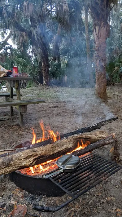 Orange Point - Welaka State Forest Picture 8