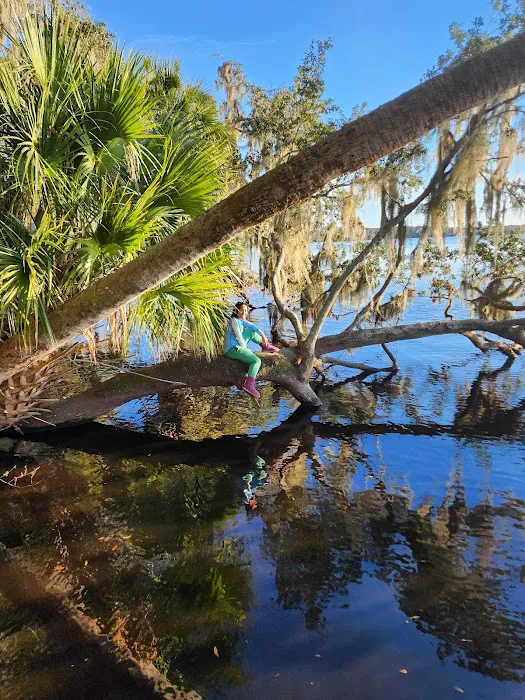 Orange Point - Welaka State Forest Picture 5