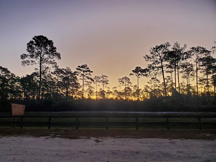 Orange Point - Welaka State Forest Picture 9