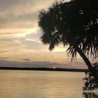 Orange Point - Welaka State Forest ico