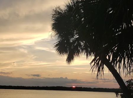 Orange Point - Welaka State Forest