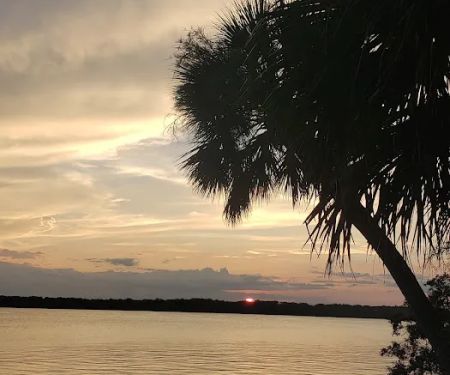 Orange Point - Welaka State Forest